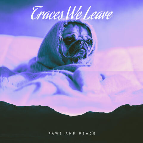 Traces We Leave album art
