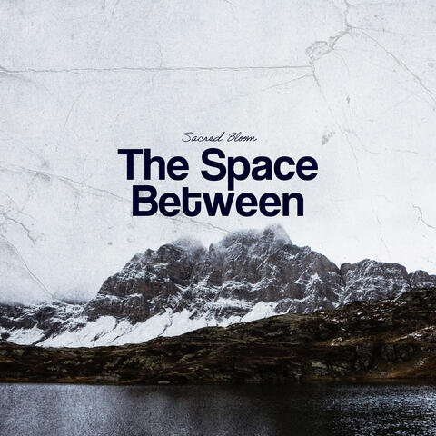 The Space Between album art