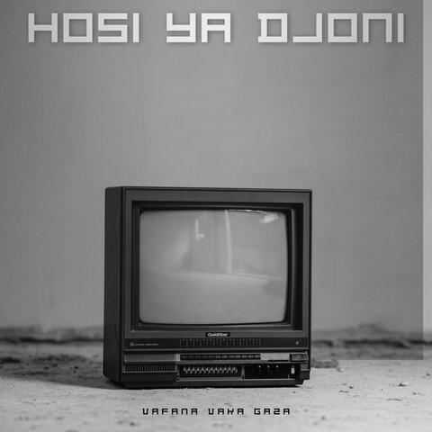 Vafana Vaka Gaza album art
