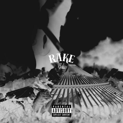Rake album art
