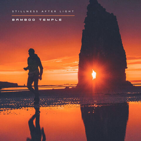 Stillness After Light album art