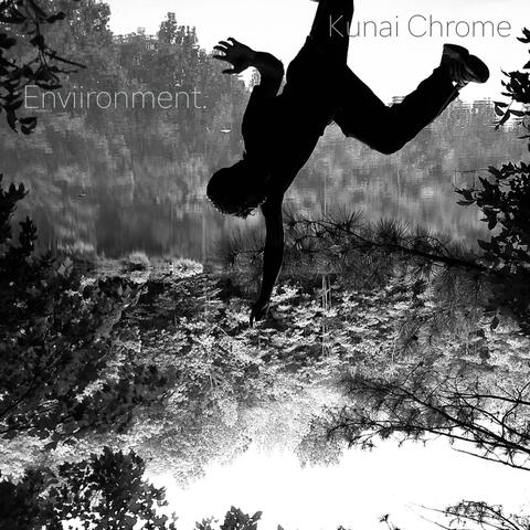 Enviironment. album art