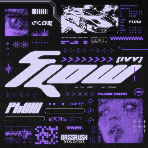 Flow album art