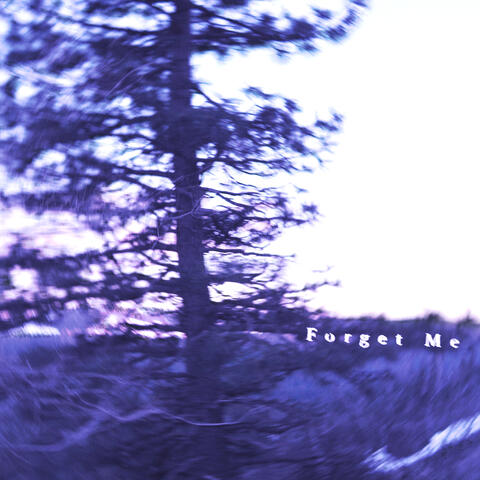 Forget Me album art