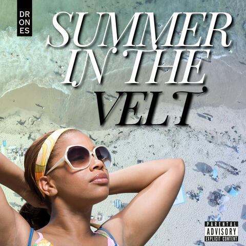 Summer In The Velt album art