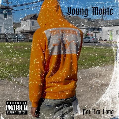 Not Too Long album art