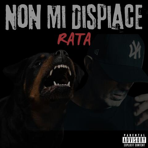 Non Mi Dispiace album art