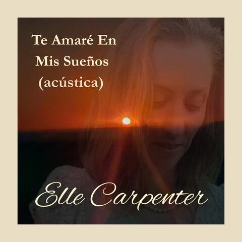 Te Amaré En Mis Sueños album art