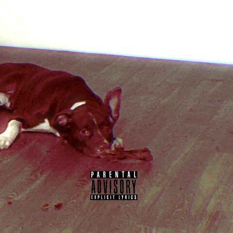 Monotone$ album art