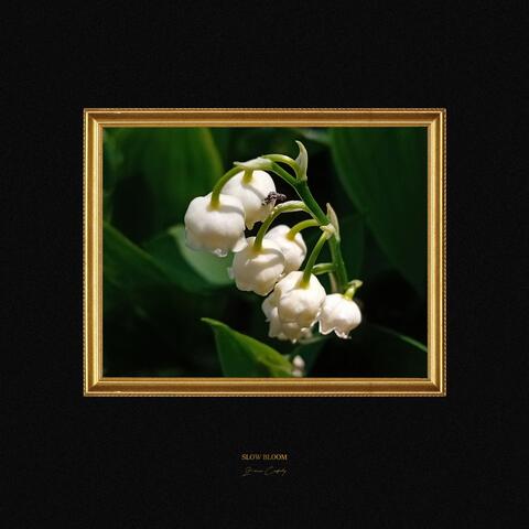 Slow Bloom album art