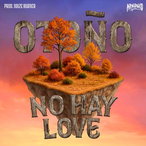 NO HAY LOVE album art