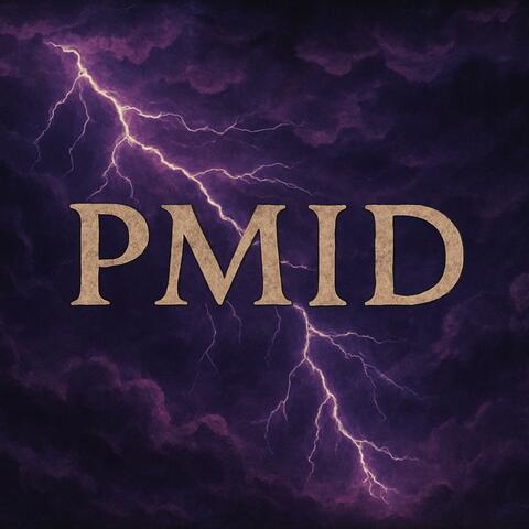 Pay Me In Distance album art