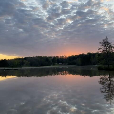 Life Been Hard album art