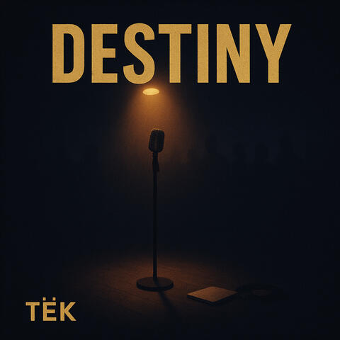 Destiny album art