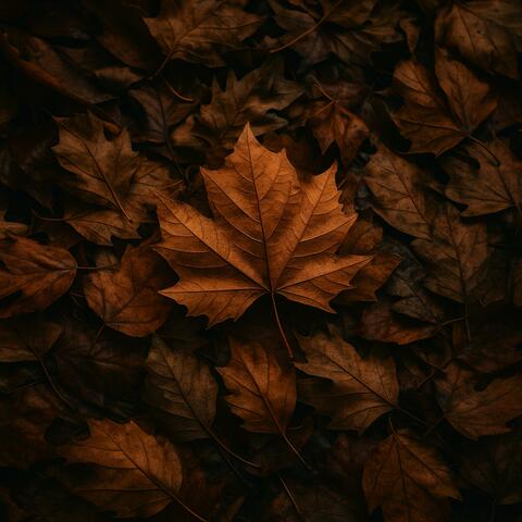 Dono do Outono album art