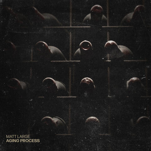 Aging Process album art
