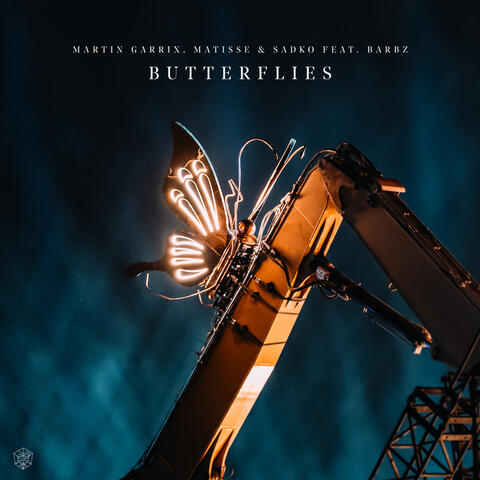 Butterflies album art