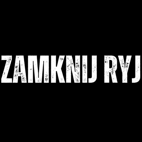 ZAMKNIJ RYJ (TEDE DISS) album art