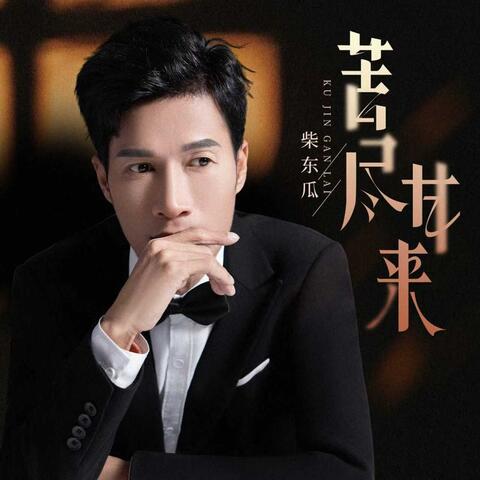 苦尽甘来 album art