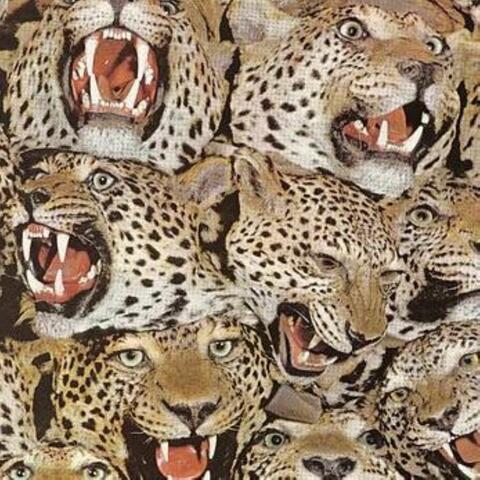 ALMOST THERE album art