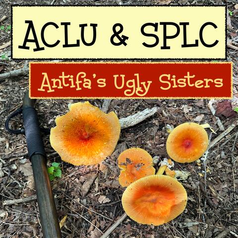 ACLU & SPLC Antifa’s Ugly Sisters album art