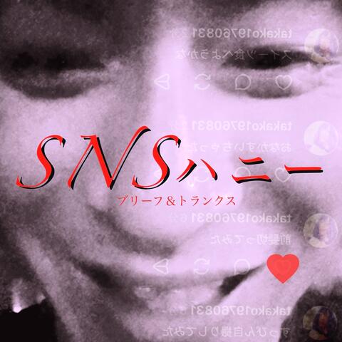SNS Honey album art