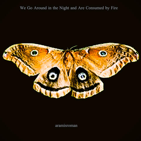 We Go Around in the Night and Are Consumed by Fire album art