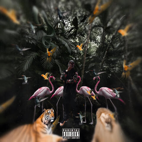 Back N My Gruve album art