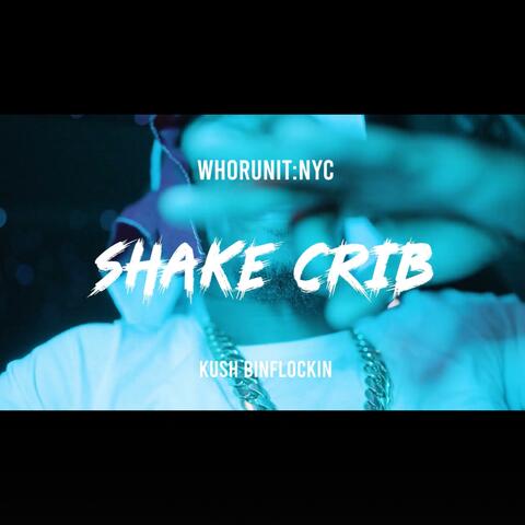 SHAKE CRIB (SEEN IT COMIN 2) album art