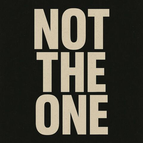 not the one album art