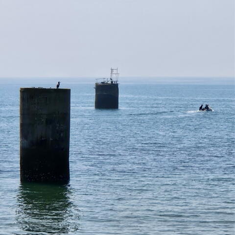 장생바다의 눈물 album art