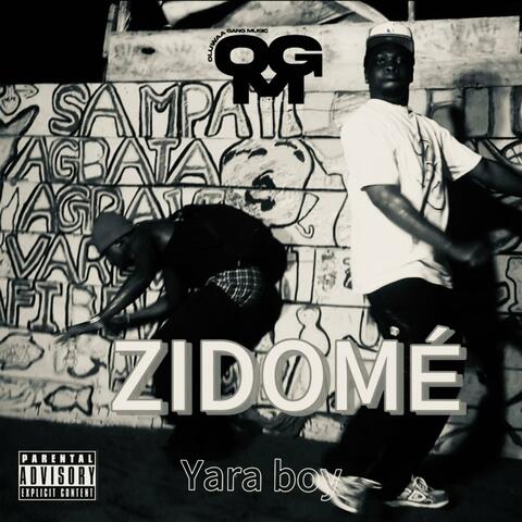 ZIDOME album art