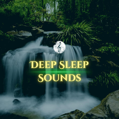 Deep Sleep Piano Collection album art