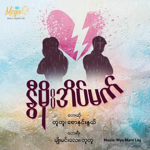 Nwe Moe Eain Mat album art