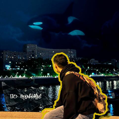 Косатка album art