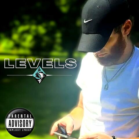 LEVELS album art