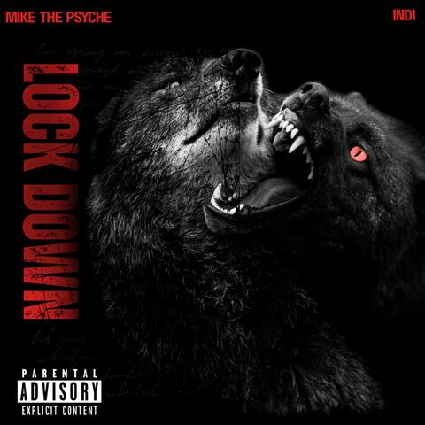 Lock Down album art