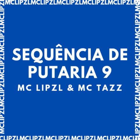 SEQUÊNCIA DE PUTARIA 9 album art