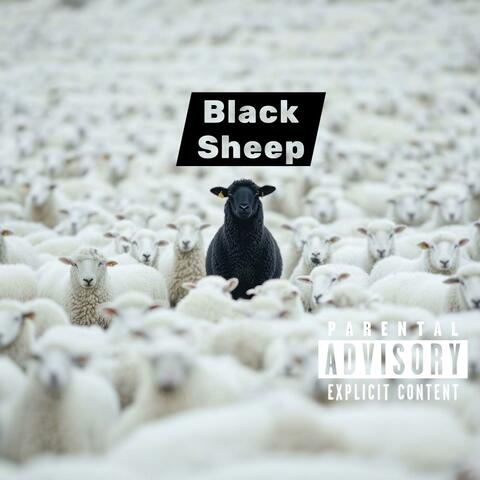 Black Sheep album art