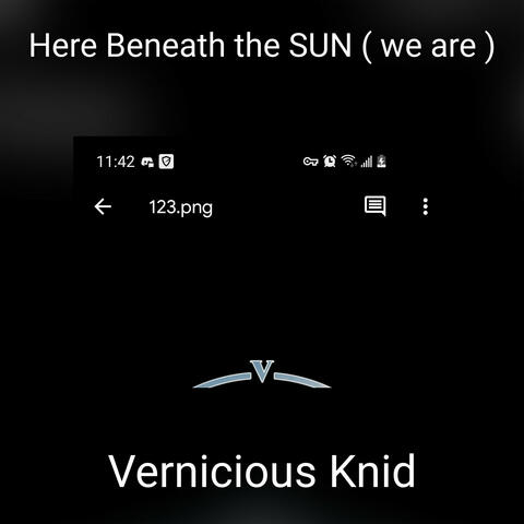 Here Beneath the SUN ( we are ) album art