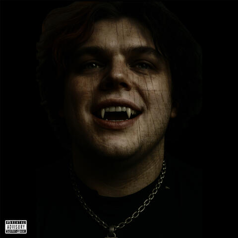 Vampire Diaries album art