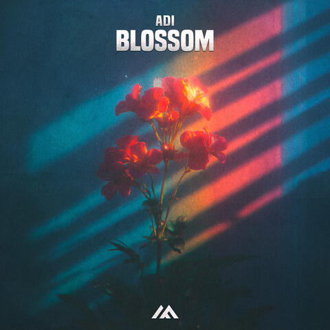 Blossom album art
