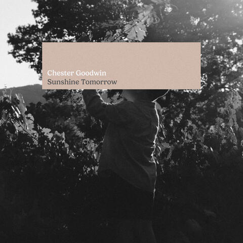 Sunshine Tomorrow album art