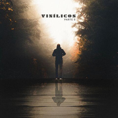 Vinílicos, Pt 5 album art