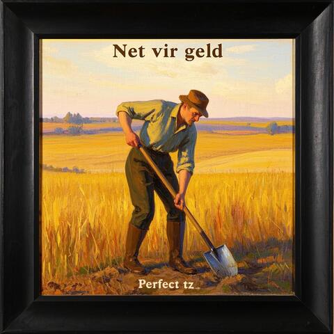 Net vir geld album art