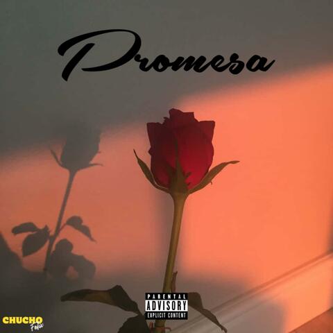 Promesa album art