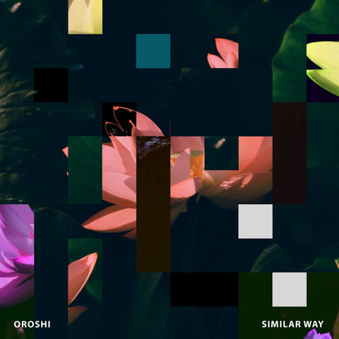 Similar Way album art