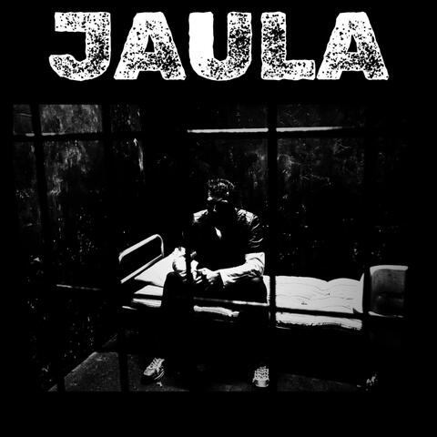 Jaula album art
