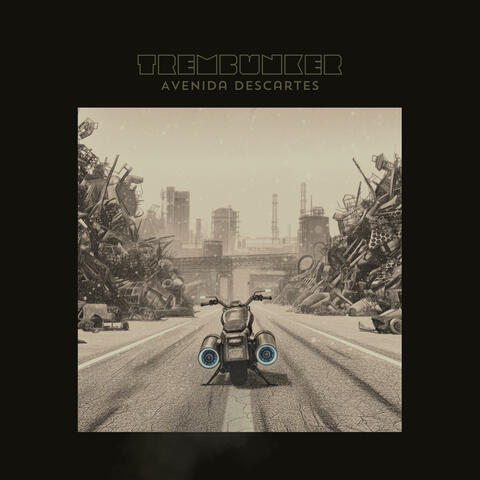 Avenida Descartes album art