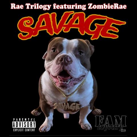 SAVAGE album art